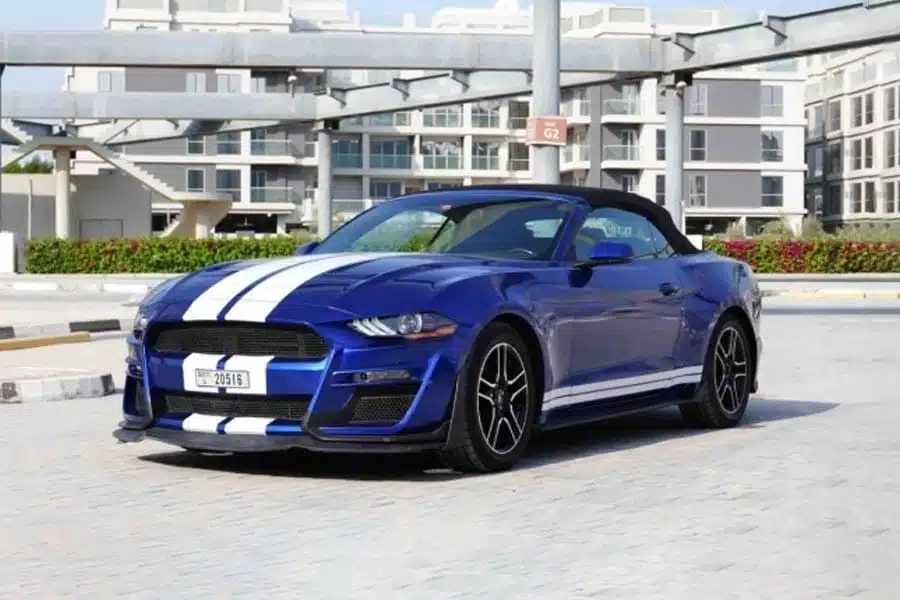 rent shelby mustang